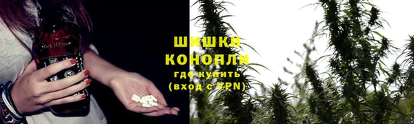 ГАЛЛЮЦИНОГЕННЫЕ ГРИБЫ Балабаново