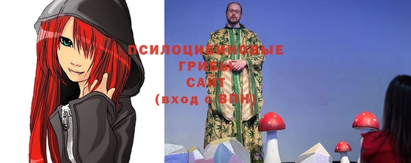 a pvp Белокуриха