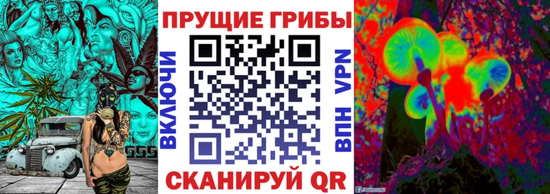 Псилоцибиновые грибы мицелий  как найти наркотики  Тотьма 